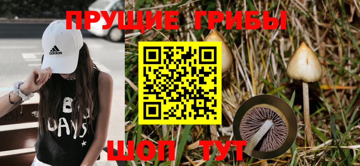 Галлюциногенные грибы мухоморы Батайск