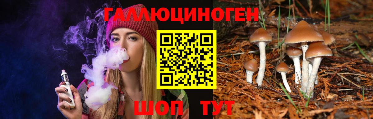 цены   Батайск  Галлюциногенные грибы Psilocybine cubensis 